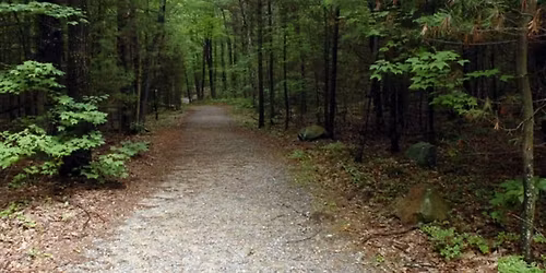 National Trails Day Hike - Leominster State Forest - Pet friendly (Ages 18+)