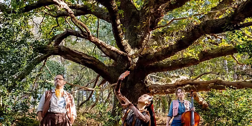 The Ancient Oak of Baldor