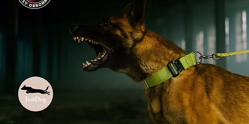 Szkolenie ps\u00f3w obronnych - trening K9