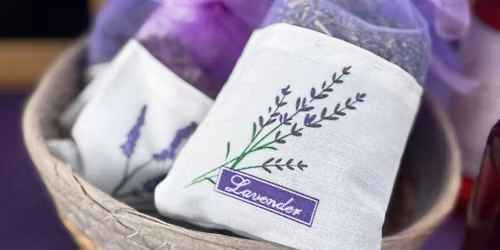 Herbal Remedies for Winter Wellness