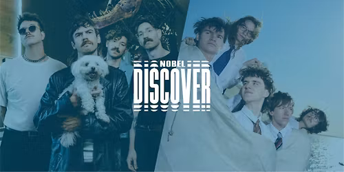 Discover: Ronker + Grote Geelstaart | Nobel