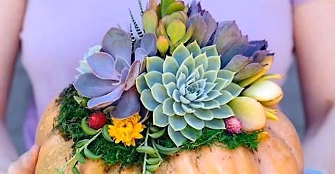 Pumpkin Succulent Workshop at Washington Floral Service in Tacoma