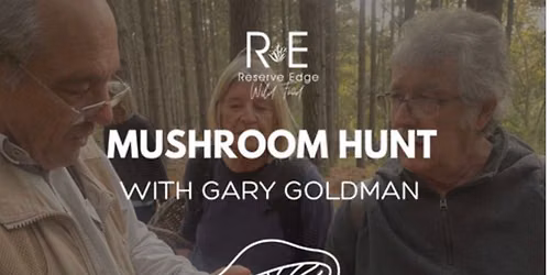 Mushroom Hunt