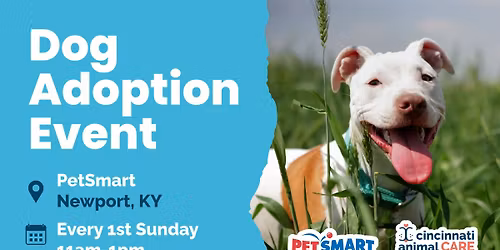 Dog Adoption Event at PetSmart Newport!