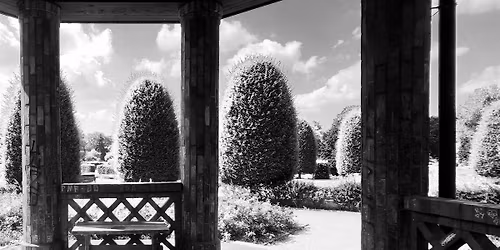 Analyse und Interpretation #5