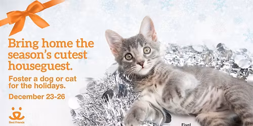 NYC - Holiday Foster Sleepover