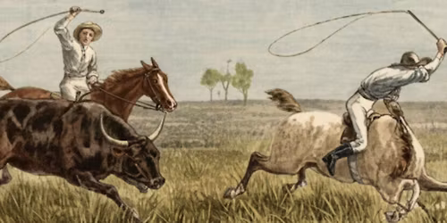 Echoes of the long paddock: A folksong celebration