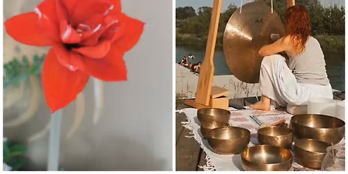 Koncert mis i gong\u00f3w Na Poddaszu\/Sieros\u0142aw