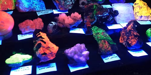 Annual Fiesta of Gems Show