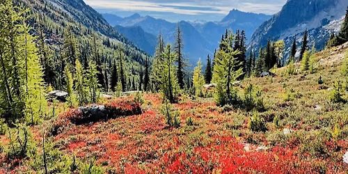 The Best Larch Hike in WA, Trail and Wellness Hiking Group by Grace F