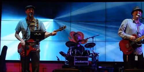 Bier Stube - the Bradberries