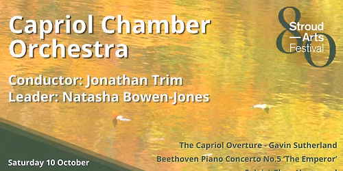 Stroud Arts Festival 80th Celebration: Capriol Chamber Orchestra