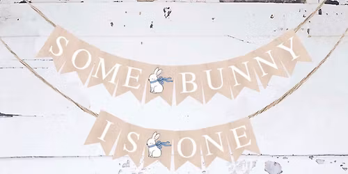 Some-Bunny Is One
