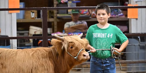 Tazewell 4-H Show and Jr. Fair