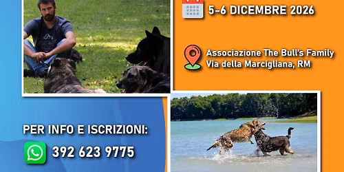 Stage teorico\/pratico: Approccio ai problemi comportamentali del cane, con Michele Minunno