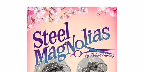 Steel Magnolias Audition 