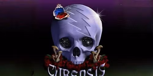 Cubensis - The Grateful Dead Experience
