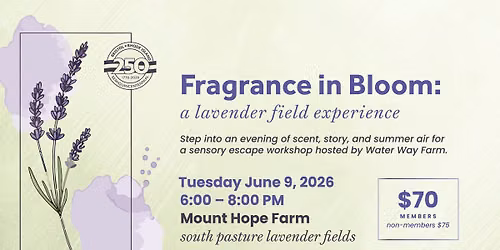 Fragrance in Bloom
