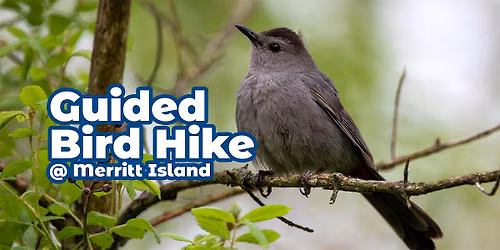 Guided Bird Hike at Merritt Island \u2014 June 2026