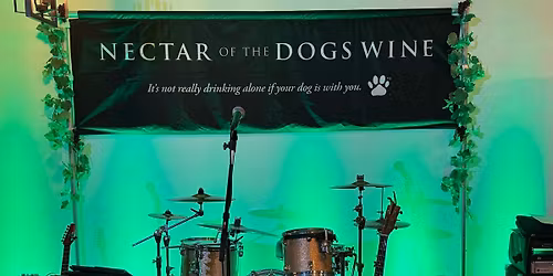 LIVE Music: Left of the Dial