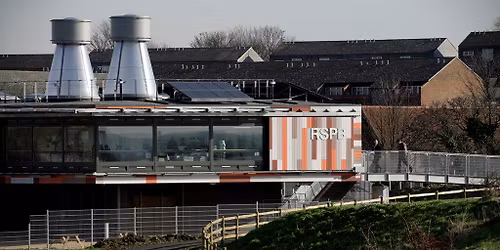 Free Guided Walk with Nature at RSPB Rainham Marshes as Sevenoaks NR Car Park Closed