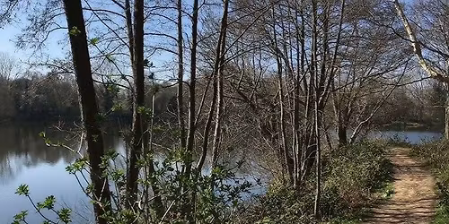 Free Guided Walk with Nature at Sevenoaks Nature Reserve KWT