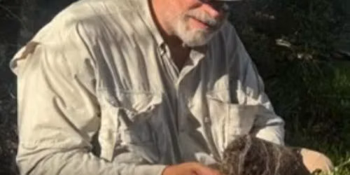 Discover Sarasota\u2019s Hidden Nature with David Glosser