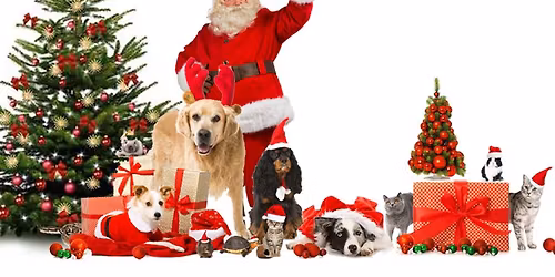 MARCHE DE NO\u00cbL - MONS COEUR EN NEIGE