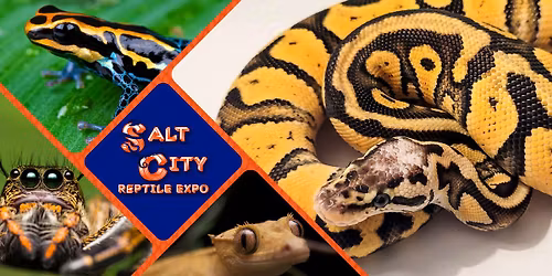 Salt City Reptile Expo - Spring 2026