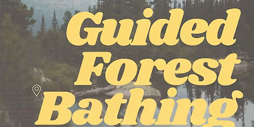 Guided Forest Bathing Experience