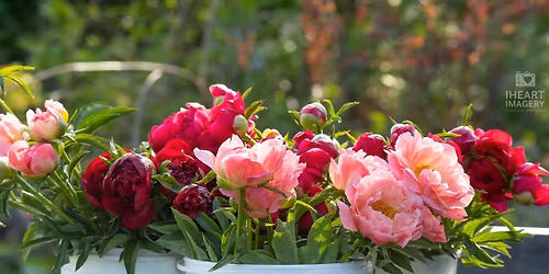 Mother\u2019s Day Open Garden