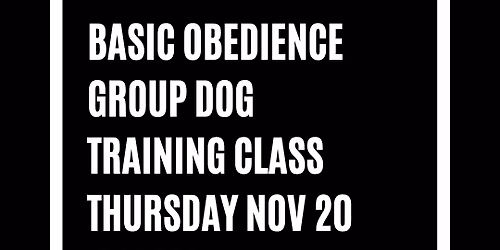 Basic Obedience & Sociaization