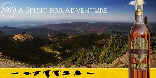 Taylor Swift Vinyl Spin