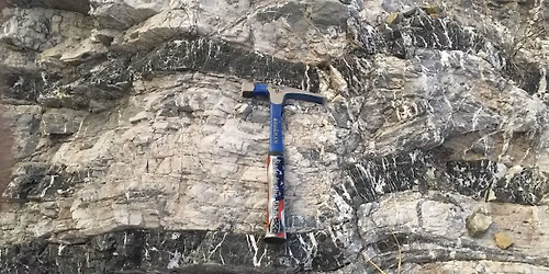 Bay Area Rocks for Kids