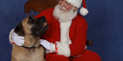 Winter Wonderland Santa Paws Pet Photos 