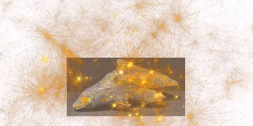 Dolpin Star Temple - Ple\u00efadisch Lichtwerk inspiratie middag