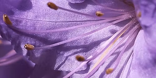 Salon Qu\u00eates et sens