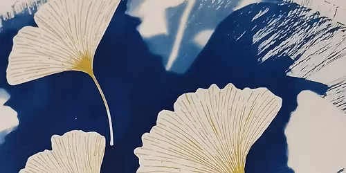 Atelier cr\u00e9atif Cyanotype