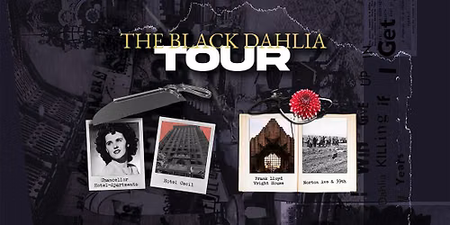 Hollywood Horror Story: The Black Dahlia