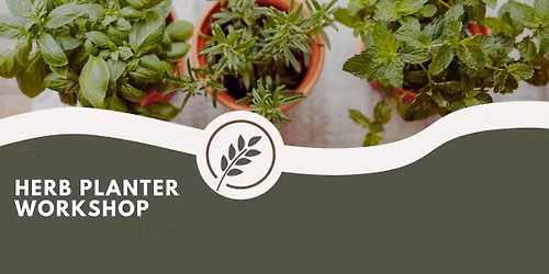 Herb Planter Workshop