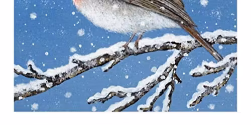 Robin Pottery Workshop \ud83d\udc26