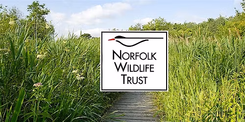 Wilder Communities - Community listening for collective vision building