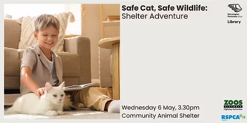 Safe Cat, Safe Wildlife: Shelter Adventure - Community Animal Shelter