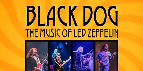 Black Dog The Music of Led Zeppelin Downtown Freehold Concert
