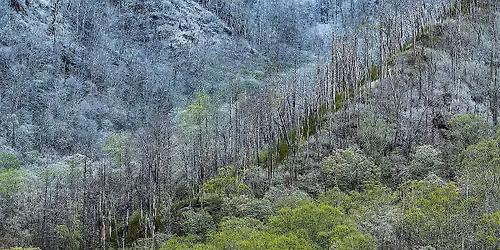 Juxtapositions: Using Contrasts to Strengthen Your Images