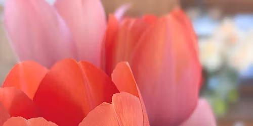 Spring Fling on the Farm