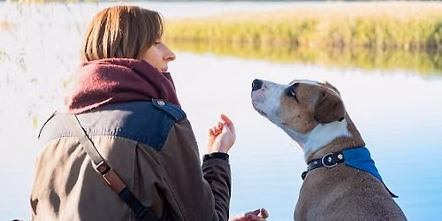 Animal Communication Level 1 Introduction - Classroom \/ In-Person