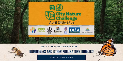 City Nature Challenge: Pollinator BioBlitz!