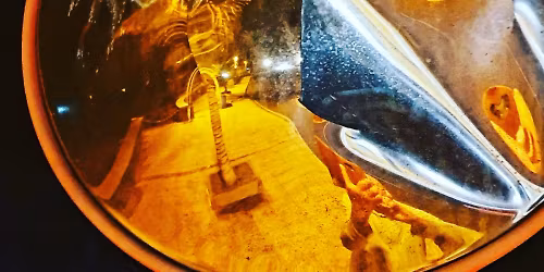 Lemongrass in Austin