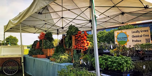 Farm Stand Fridays